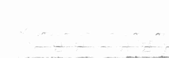 orlík krátkoprstý - ML616709903