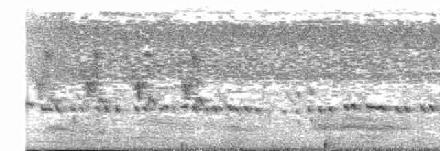 Cratérope affin - ML616709947
