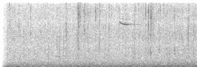 ורדית סיבירית - ML616710694