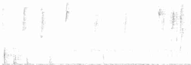 Большеклювая кустовка - ML616710699