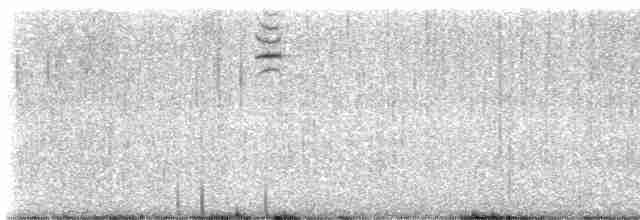 ורדית סיבירית - ML616710721