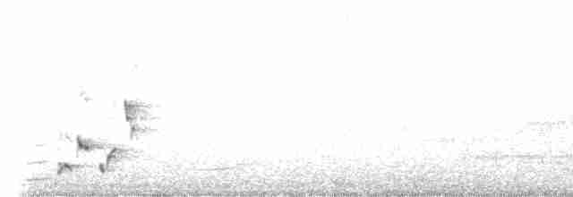 Короткокрылая камышевка - ML616710977