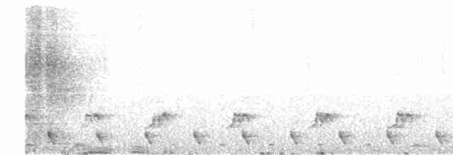 Dschungelnachtschwalbe - ML616711411