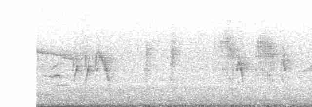 Blyth's Reed Warbler - ML616711513