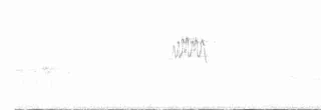 Сичик-горобець євразійський - ML616712601