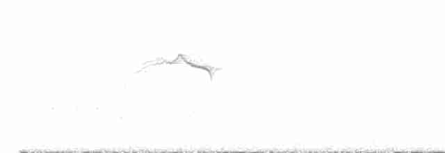 Сичик-горобець євразійський - ML616712606