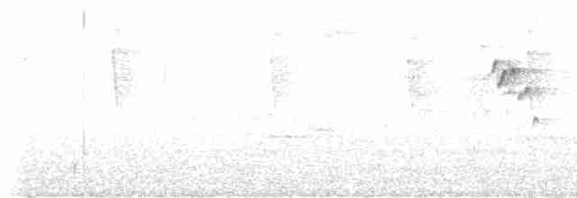 Troglodyte montagnard - ML616713808