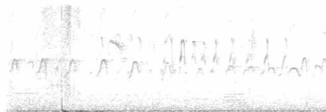 シロハラアマツバメ - ML616714917