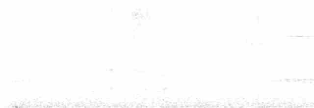 Светлобровый виреон - ML616715227