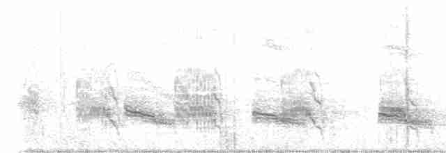 Качолота чорночуба - ML616715289
