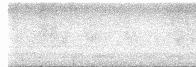 Белогорлая веерохвостка - ML616715606