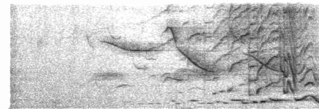 Montezuma Oropendulası - ML616717339