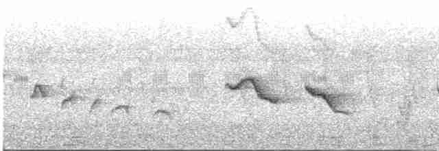 Spot-throated Babbler - ML616718550