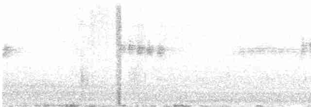 Mirlo Acuático Norteamericano - ML616719135