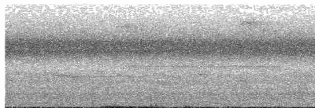Малая бесхвостка - ML616720089