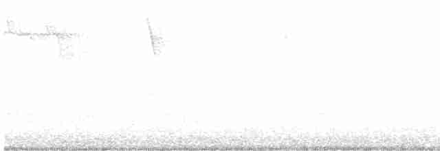 Yellow-throated Warbler - ML616720996