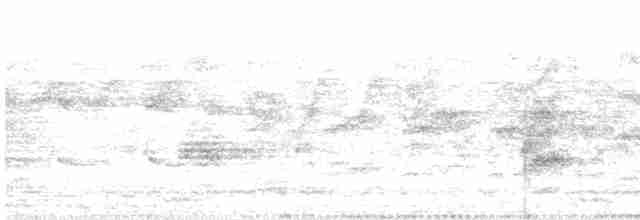 灰頭椋鳥 - ML616724516