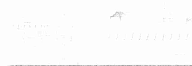 Дрізд-короткодзьоб плямистоволий - ML616724798
