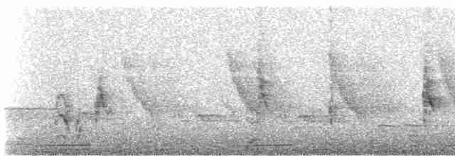 Pájaro Gato Gris - ML616725168