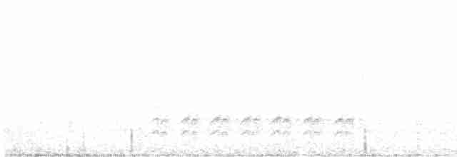 Sittelle à poitrine blanche (groupe lagunae) - ML616725326