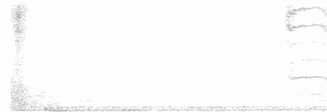 strakapoud hnědočelý - ML616727291