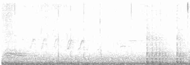 Дятел-смоктун червоноголовий - ML616727727