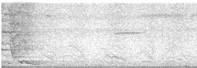 Montezuma Oropendulası - ML616727962
