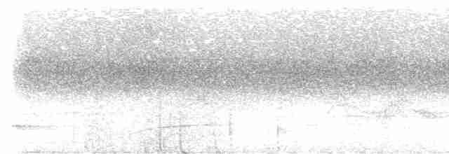Белогрудый крапивник - ML616728334