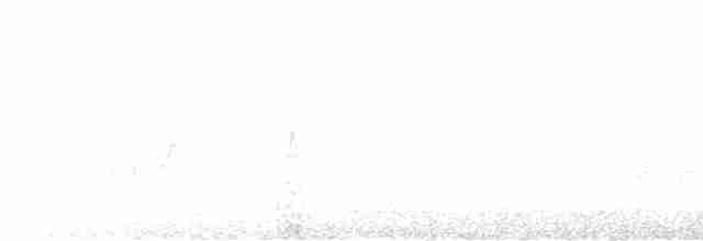 大赤啄木 - ML616729884