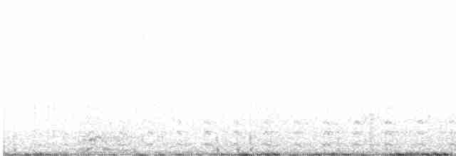 Great Grebe - ML616730139
