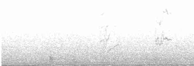Kara Gıdılı İskete - ML616730287