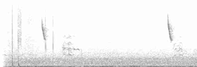Rufous-collared Sparrow - ML616730662