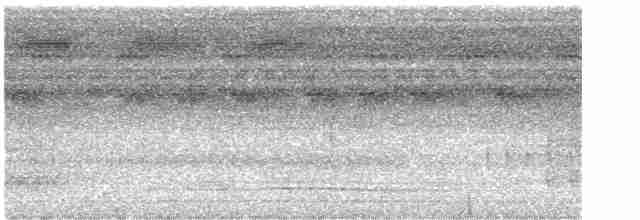 Ochre-striped Antpitta - ML616731585
