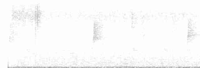 Küçük Boreal Sinekkapan - ML616734399