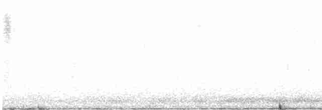 Шишкар ялиновий - ML616734642