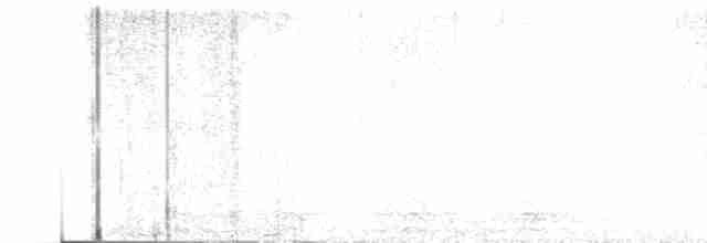 Аспиднохвостый трогон - ML616735052