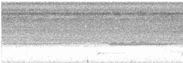 Bändernachtschwalbe - ML616735462