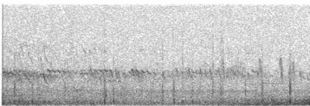 Little Tern - ML616735889