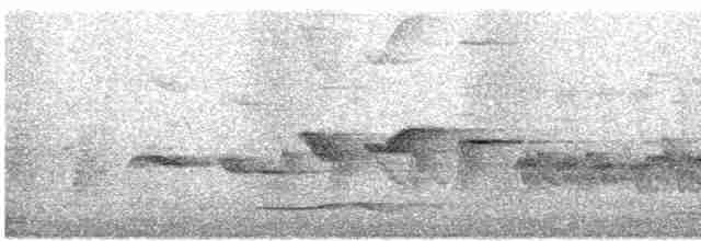 langhaleskredderfugl - ML616736208