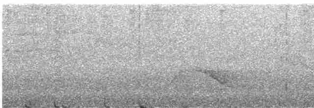 White-eared Sibia - ML616736546