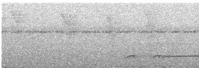 Лінивка-смугохвіст західна - ML616736672