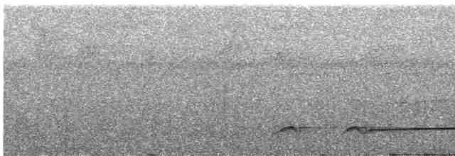 Лінивка-смугохвіст західна - ML616736674