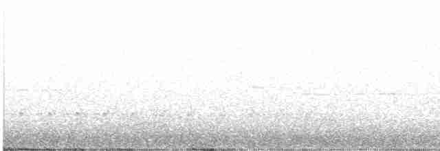 Белоголовый дятел - ML616736812