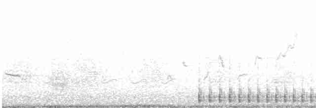Pileated Woodpecker - ML616738866