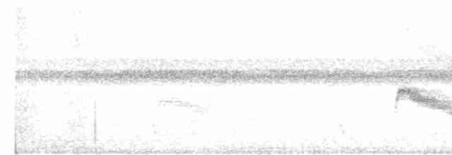 Euler Sinekkapanı - ML616739152