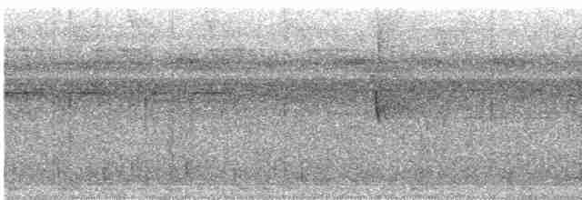 Tinamou à gorge blanche - ML616739733