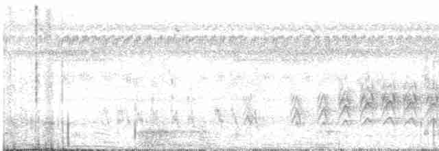 白胸燕鵙 - ML616740480