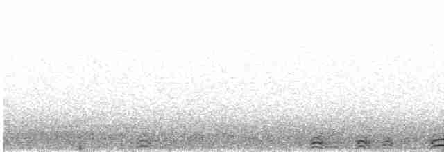 Сова плямиста - ML616741078
