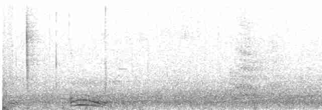 Сова плямиста - ML616741138