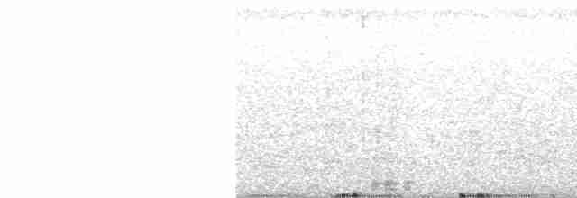 Toucan à bec noir - ML616743502